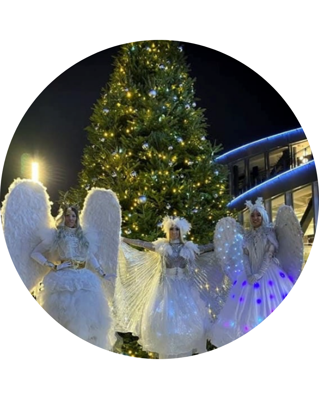 animations féeriques promenade des lumières magiques